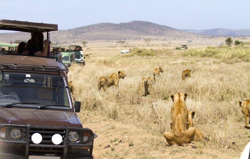 4 days Serengeti Tanzania safaris