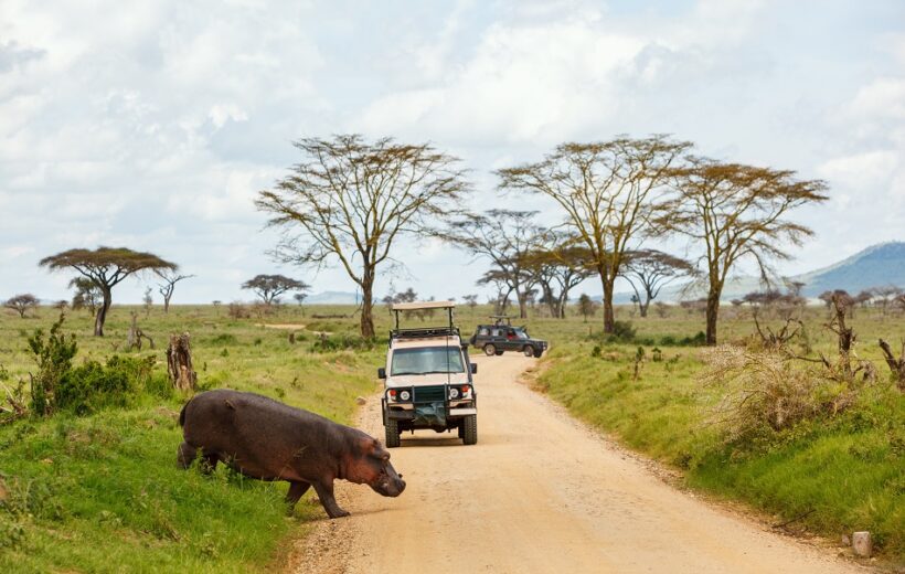 3 Days safari Serengeti & Ngorongoro crater