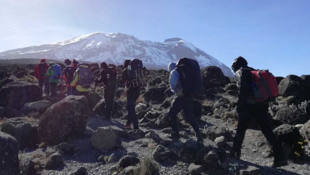 hikers climbing mount kilimanjaro serengeti african tours