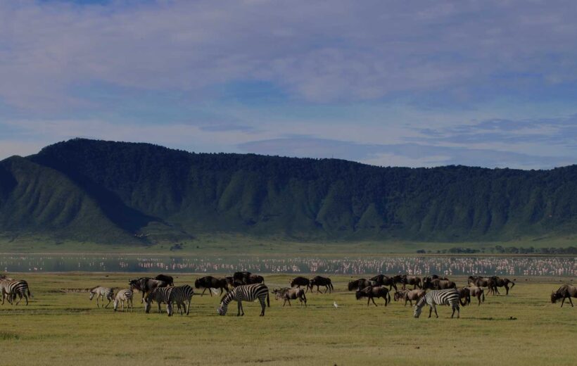The Ngorongoro Crater Day trip