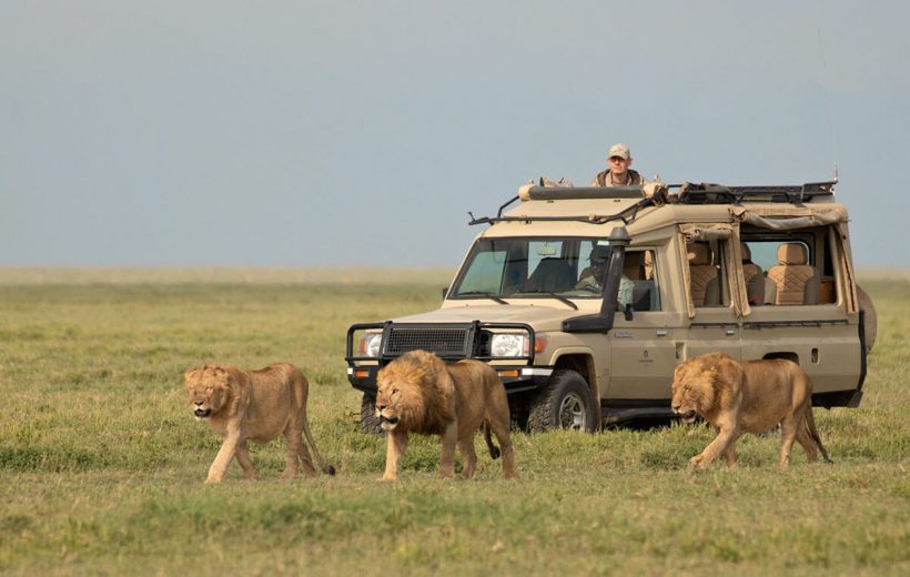 5 days Tanzania Luxury Safari with  Serengeti