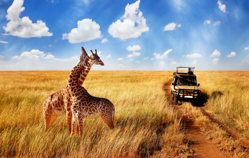 7 days Luxury Safari Serengeti, Ngorongoro crater, Tarangire & lake manyara